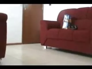বাস্তবতা, বেলেল্লাপনা, বাংলাxxxx video পার্টি