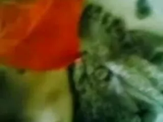 সুন্দর এবং ছোট বাংলা ভিডিও xxxxx ভলিউম 3