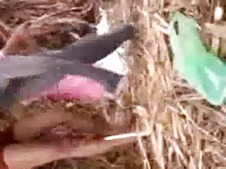 পোঁদ খেলনা পায়ু সেক্স বাংলা নতুন xxxx খেলনা