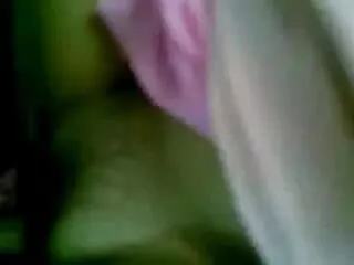 ব্রুকলিন সবসময় সৃজনশীল লেখার ট্যাক্স বাংলা নতুন xxxx হয়েছে.