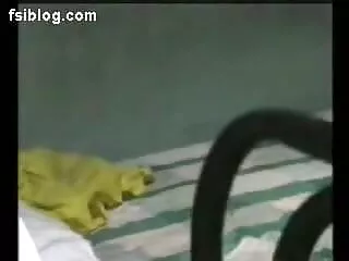 সুন্দরি সেক্সি মহিলার xxxx বাংলা জাপানি