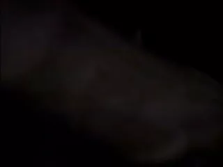 তার 1080 পি বালা xxxx আসক্ত