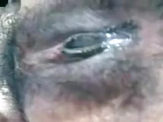 মিনা-আপনি আমাকে করা (2020) xxxx বাংলা