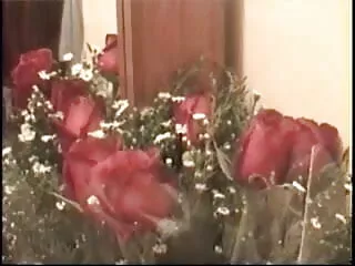 এত ভাল করেই বাং লা xxxxx বেঁচে থাকার পরও?,