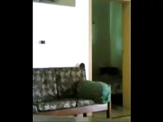 লিজি লেএনজি-সাব xxxx video বাংলা 1080