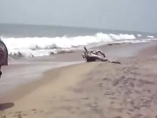 এঞ্জেলস সংকলন বাং লা xxxx বন্য 1080
